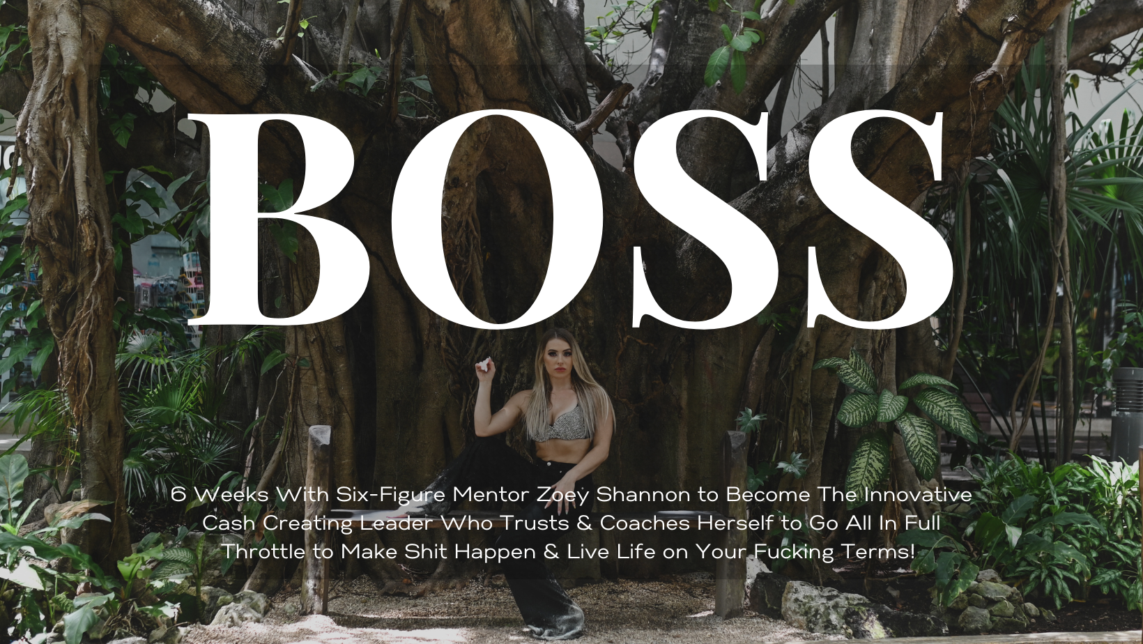 Boss Program